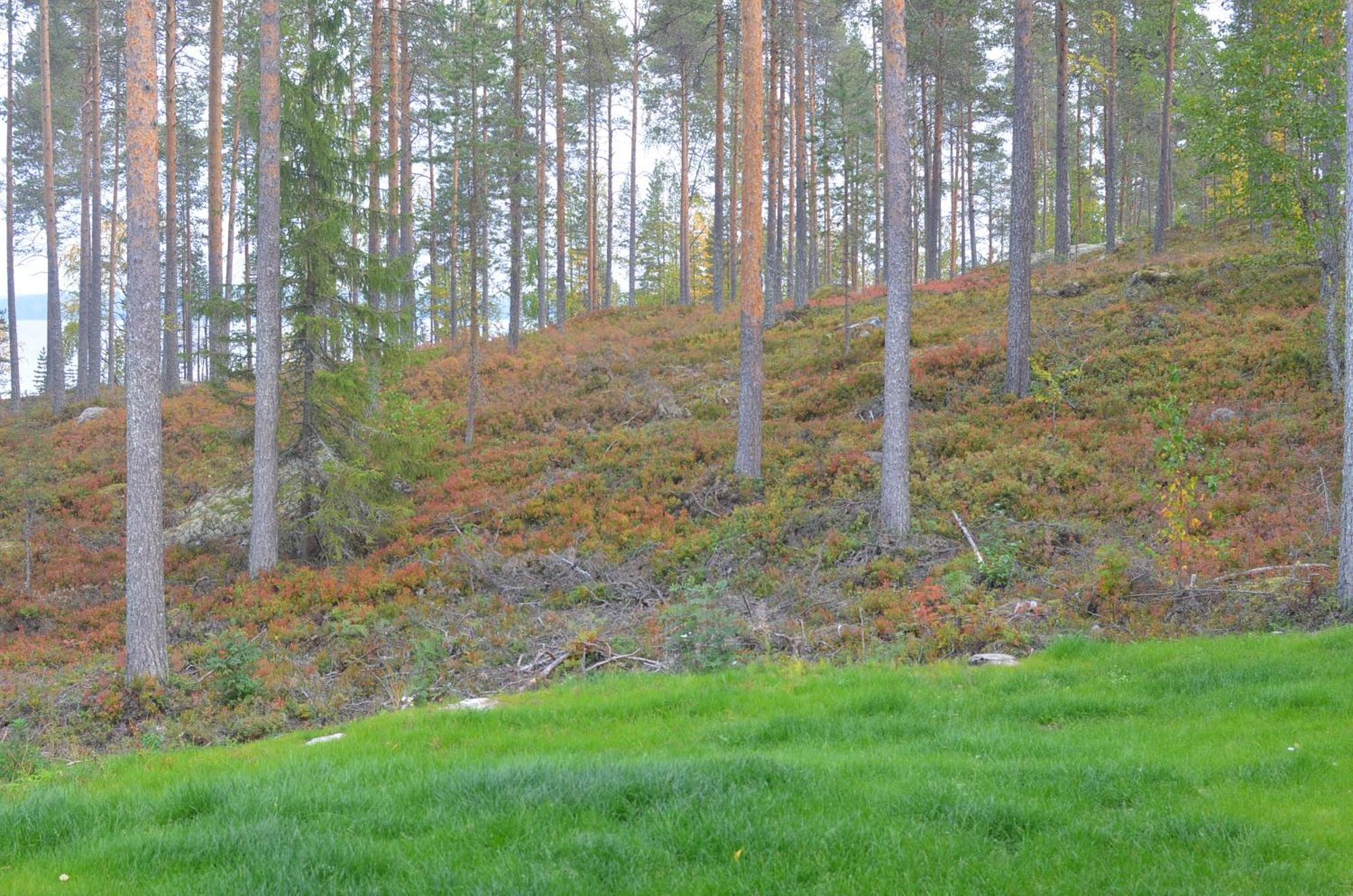 Kainiemen Huvilat Nurmes Chambre photo